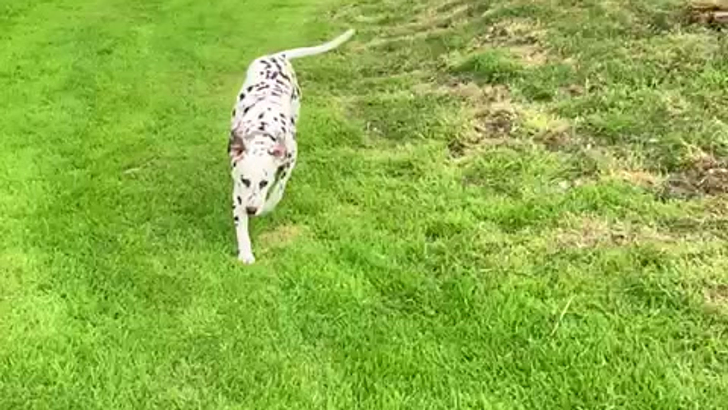 Getting Fit